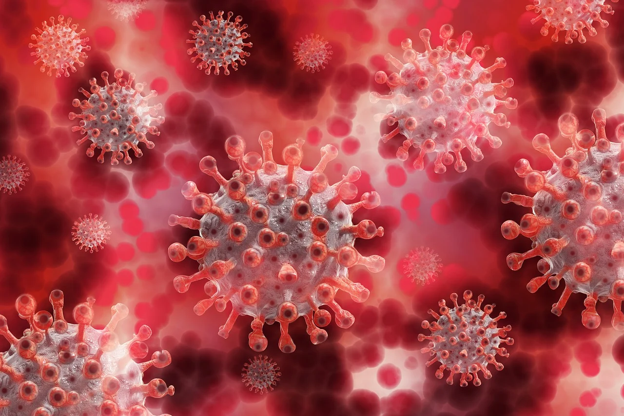 Virus image